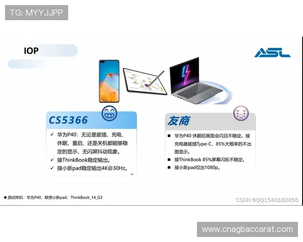 欧博真人网站的技术支持与安全措施详解保障玩家信息与资金安全