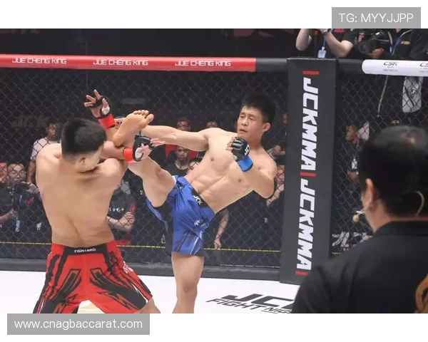 真人竞技场带你进入真实战场中感受顶级格斗盛宴激烈发汗